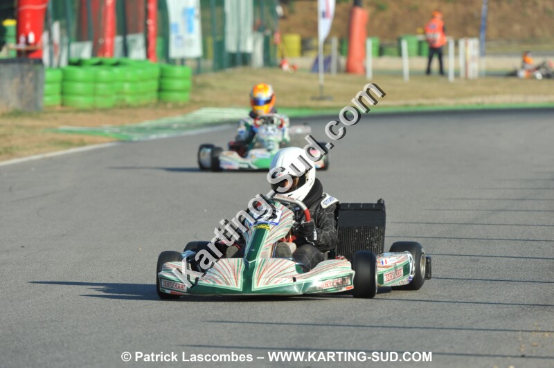 DSC_ (1432).JPG